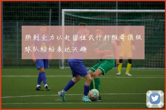 热刺全力以赴留住武什科维奇顶级球队纷纷表达兴趣